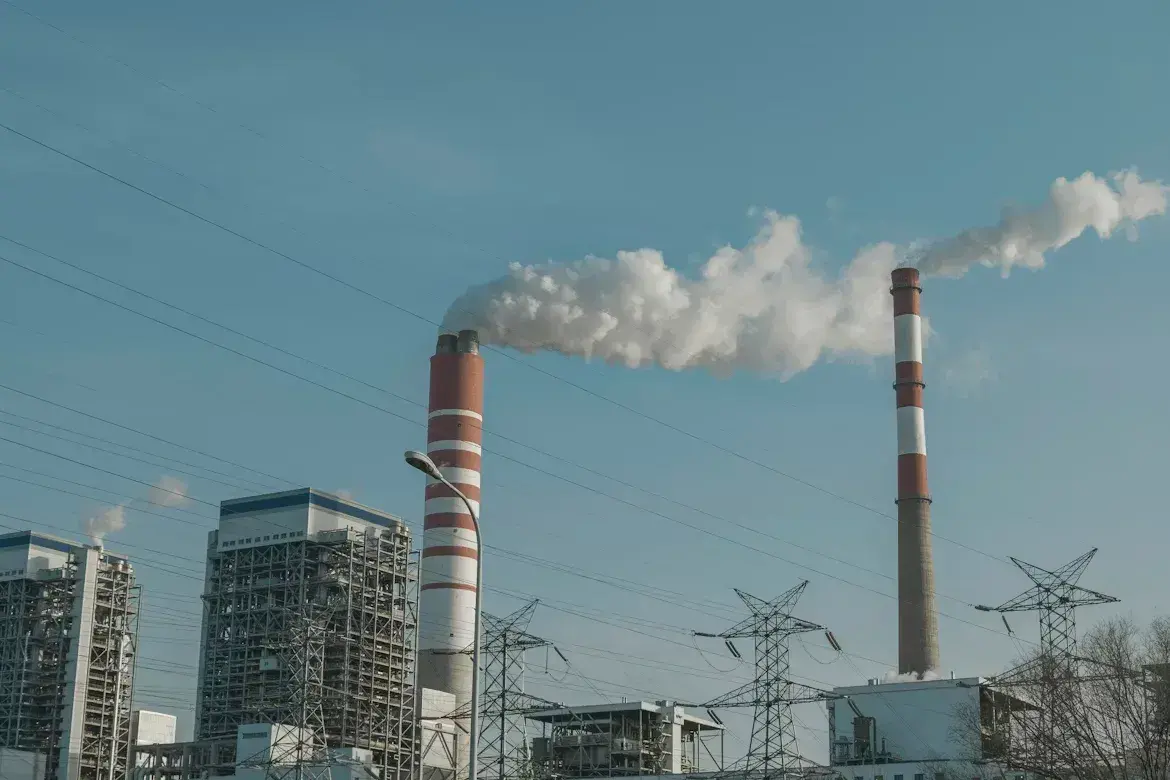 Environmental Services